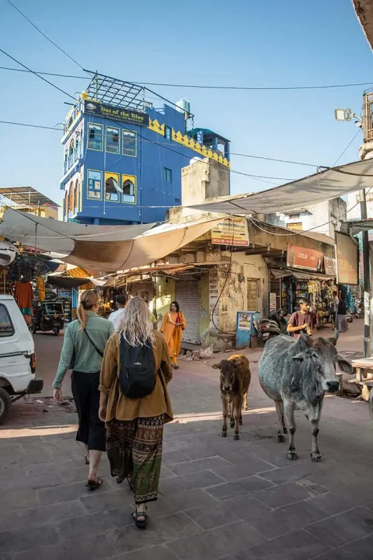 120+ Would You Rather Travel Questions For Ultimate Wanderers 11 Foreign tourists explore a narrow, vibrant street in India, passing a bright blue guesthouse and freely roaming cows under a clear sky.